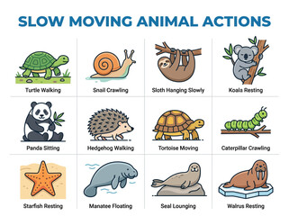 Obraz premium An infographic grid featuring 12 illustrated slowmoving animals with captions for their specific actions