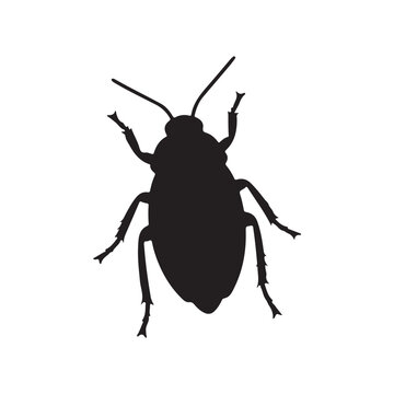 Black silhouette cockroach vector illustration