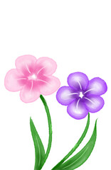 Obraz premium pink purple watercolor flowers | froral printable | floral clip art 