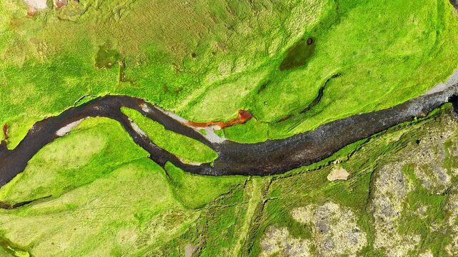 Overhead aerial of meandering river winding through bright green floodplain, shallow reflective channel, gravel bars, mossy banks, and exposed bed forming broad natural curves
