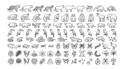 ジャングルと熱帯雨林の動物、植物、昆虫の線画アイコンセット。野生生物、自然、エキゾチックな生物のコレクション、ウェブサイトや教育コンテンツに最適なベクターイラスト。 © Aralan