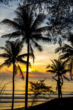 Sunrise with silhouette woman and coconut