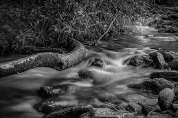 stream in the forest © Kevin