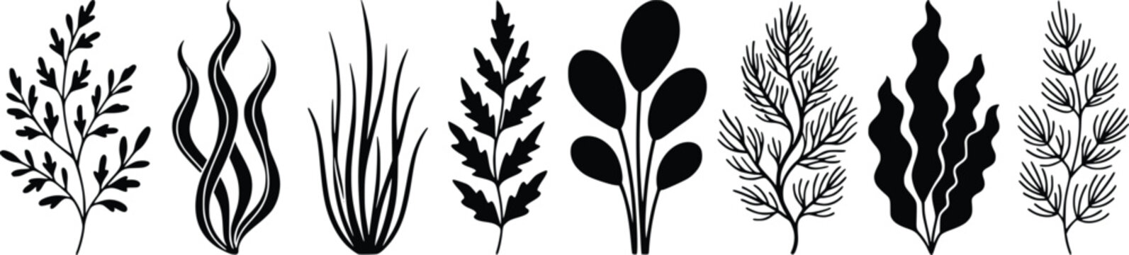 Black seaweed silhouettes set, aquatic plant vector icons, underwater botanical leaf collection, marine flora elements for ocean design
