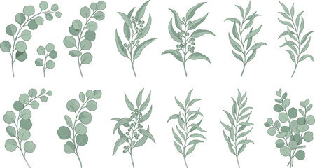 Watercolor eucalyptus greenery branch vector illustration set featuring elegant foliage elements for wedding invitation branding and digital scrapbooking graphic design © ShantoChandra