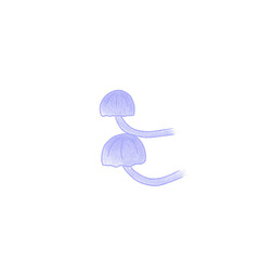 mushroom 4 © Punyapha
