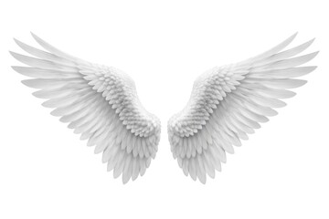 Fototapeta premium Elegant white angel wings illustration.