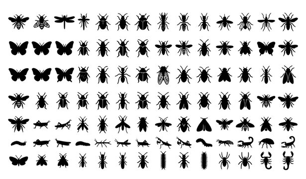 Insect Silhouette Collection Featuring Butterflies Bees Beetles Flies Dragonflies Ants Scorpions and Crawling Bugs Vector Set