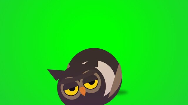 Funny Cartoon Owl Character Performing Playful Jumping Animations on Green Screen.