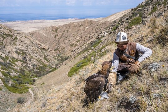 Traditional Kyrgyz eagle hunter with eagle in the mountains, hunting, eagle with captured rabbit, near Bokonbayevo, Issyk Kul region, Kyrgyzstan