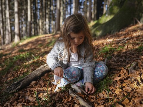 Three year old girl plays with a stick and tries to spear a leaf, Forest in autumn, Leaves, Oberri&szlig;, Schliersee, Bavaria, Germany
