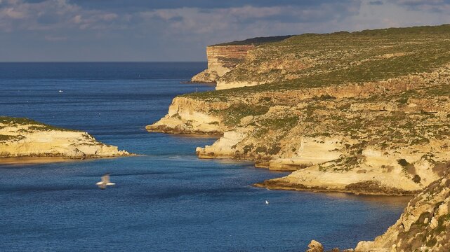 Morning light, sunrise, cloudy blue sky, dark sea, cliff illuminated by morning light, seagull in flight, sola dei Conigli, Spiaggia dei Conigli, Riserva Naturale Orientata Isola di Lampedusa, Lampedusa Island, Agrigento Province, Pelagic Islands, Sicily, Italy