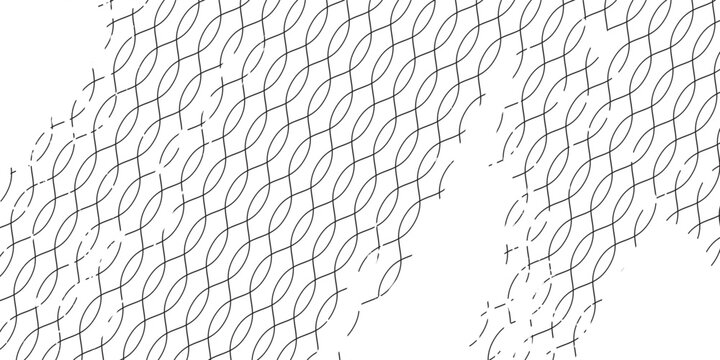 Black snake skin pattern isolated on white background eps 10