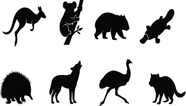 Australian animal silhouettes featuring kangaroo, koala, wombat, platypus, echidna, dingo, emu, and Tasmanian devil