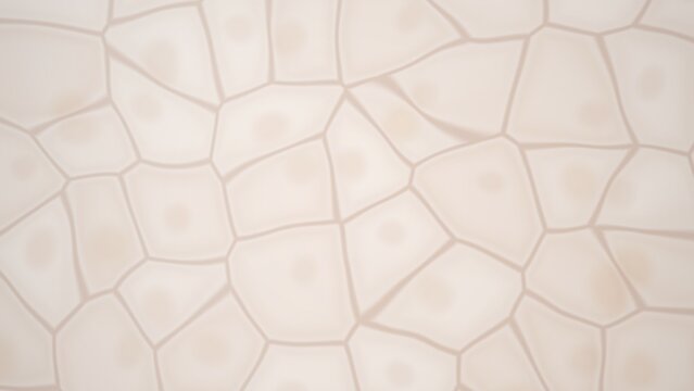 Abstract cellular pattern