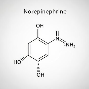 Chemical Structure of Norepinephrine Molecule Illustration.