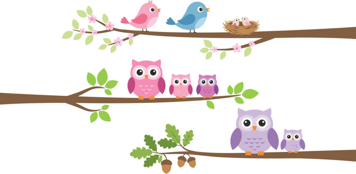 Cute cartoon owl and bird families sitting on tree branches with nest and acorns vector illustration set isolated on white background