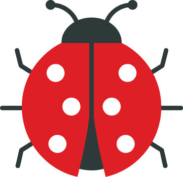 Minimalist flat vector illustration of a red ladybug with black spots