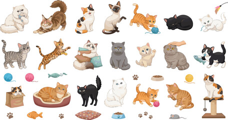 Obraz premium Cute Cartoon Cat Character Vector Set Featuring Siamese Persian Tabby Bengal and Tuxedo Kittens with Playful Toys Beds and Pet Care Accessories