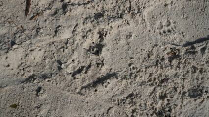 Fototapeta premium A close-up photo of fine beach sand, taken at a beach in the Bangka Islands, Indonesia.