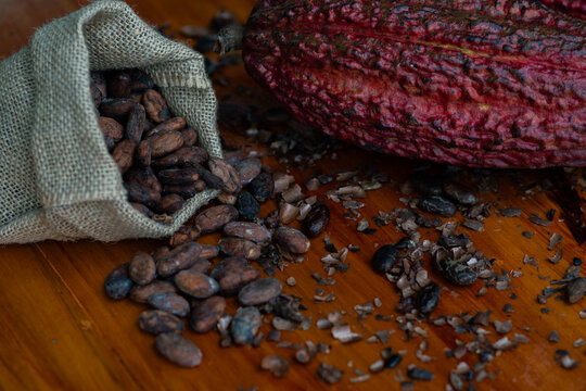 OLYMPUS DIGITred cacao pod, fresh cacao fruit, cacao beans burlap sack, fermented cocoa beans, organic cacao Ecuador, ripe Theobroma cacao, wooden table, tropical fruit, raw chocolate ingrediAL CAMERA