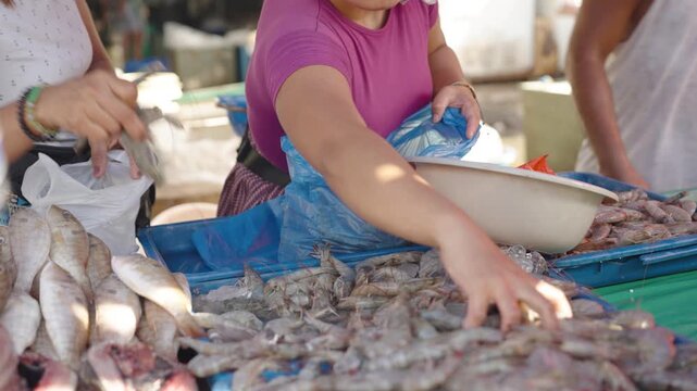 Seafood Vendor Pouring Fresh Shrimp and Weighing It at a Local Market