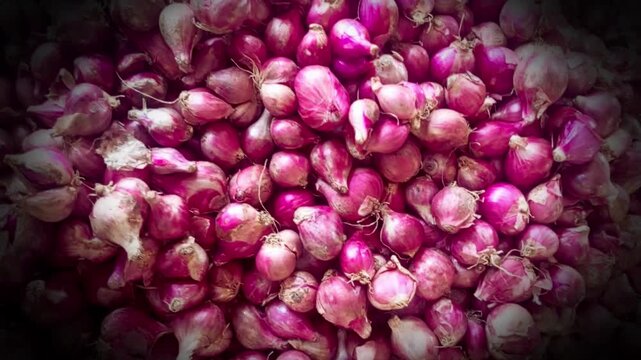 Close Up Pile of Fresh Whole Shallots with Red Onion Skin at Local Market