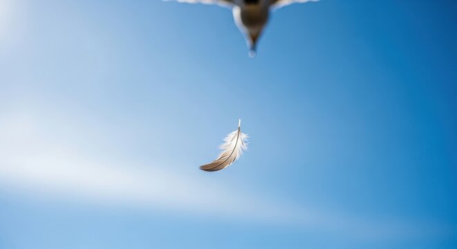 Bird flying above single feather against blue sky
