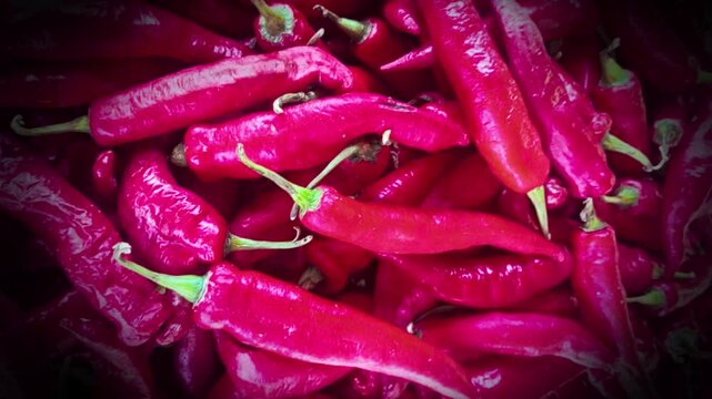 Close Up Pile of Fresh Ripe Red Chili Peppers at Traditional Market