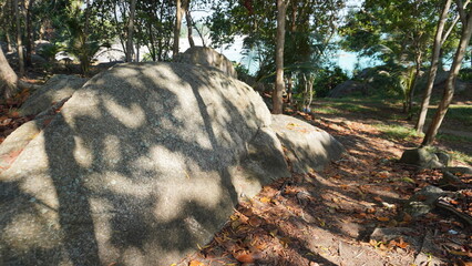 Wide angle view of large granite boulders casting shadows on a leaf-covered ground in a coastal forest. © Ahmad