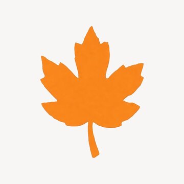 Orange maple leaf isolated on transparent background