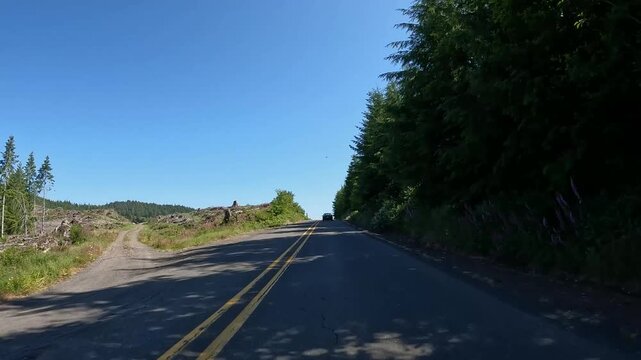4K smooth stabilized hood mounted driving footage along a scenic countryside road OR-202 Nehalem hwy, through forests in Oregon, USA in summer daylight