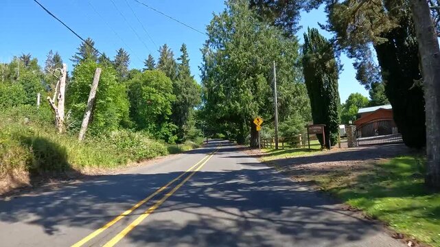 4K smooth stabilized hood mounted driving footage along a scenic countryside road OR-202 Nehalem hwy, through forests in Oregon, USA in summer daylight