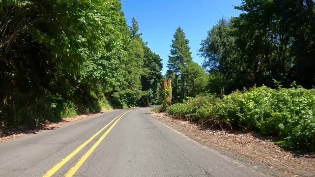 4K smooth stabilized hood mounted driving footage along a scenic countryside road OR-202 Nehalem hwy, through forests in Oregon, USA in summer daylight