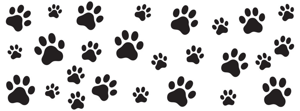 Seamless pattern with black animal paw prints isolated on white background
