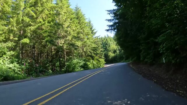 4K smooth stabilized hood mounted driving footage along a scenic countryside road OR-202 Nehalem hwy, through forests in Oregon, USA in summer daylight