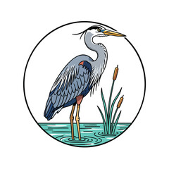 Obraz premium Great blue heron standing in water illustration