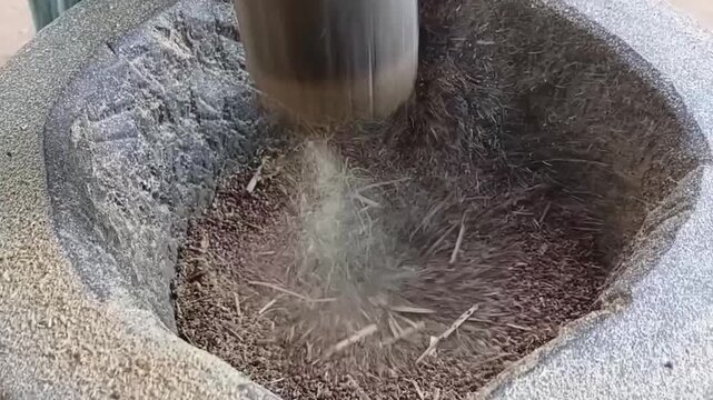 Close Up of Traditional Finger Millet Grain Pounding in Large Wooden Mortar with Heavy Pestle