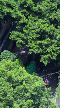 Guangzhou Urban Alley Overhead View Lush Trees Daily Life Atmosphere