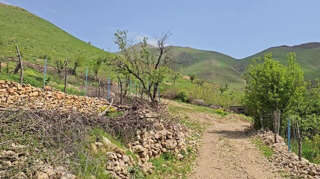 Sunlit dirt trail bordered by dry-stacked stone walls and a wire fence winds toward distant peaks, with garden trees scattered along the slope.
📍 Hawraman Takht, Kurdistan, Iran 