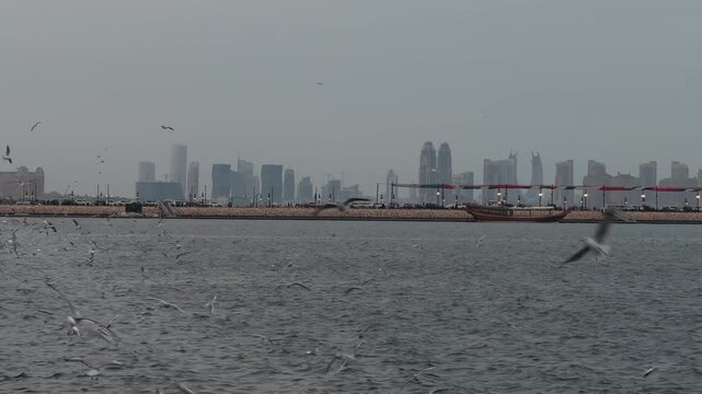 Doha Port Panorama with City Skyline and Seagulls, Qatar