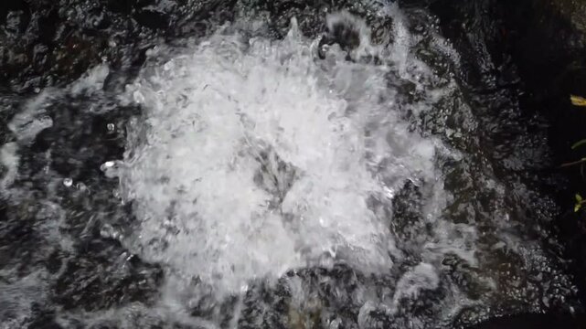 A Natural Close-up of Sping Viewpoint, Water Concepts