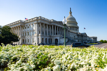 Obraz premium Architecture landmark with Capitol dome. Classical architecture defines government building. Architecture details show famous colonnade. Washington DC highlights American architecture.
