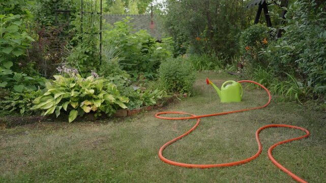 Lush backyard garden with an orange garden hose coiled on green lawn beside a lime green watering can surrounded by flowering plants.