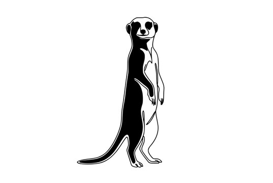 Standing meerkat stylized black and white illustration