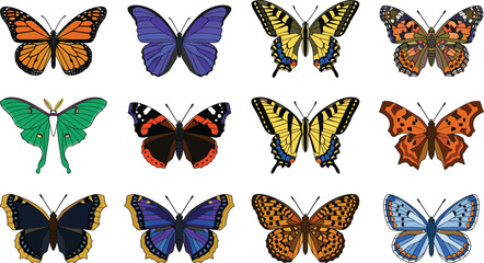 Diverse collection of colorful butterfly and moth species illustrations isolated on a plain white background vector set © Sreejoynaraon