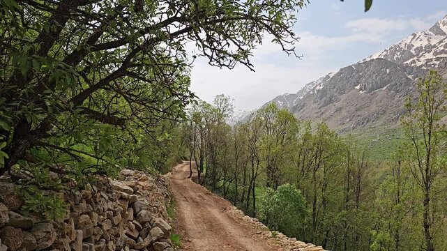 Tree-shaded dirt path beside a dry stone wall, extending toward a green valley with snow-capped mountains and a partly cloudy sky
📍 Hawraman Takht, Kurdistan, Iran 