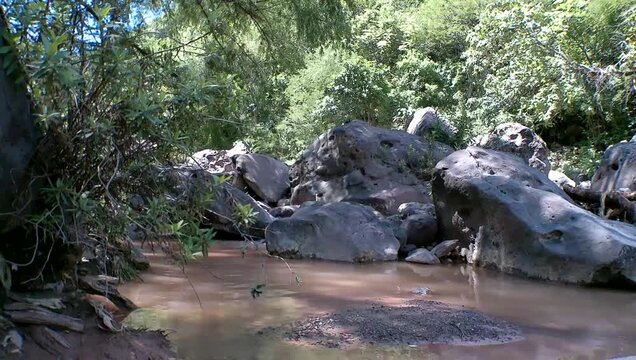 ravine with dirty water and large stones