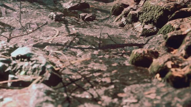 Water flows over stones and rocks along a riverbank. Moss is visible on the rocks as sunlight reflects off the water. This scene shows an outdoor natural setting.