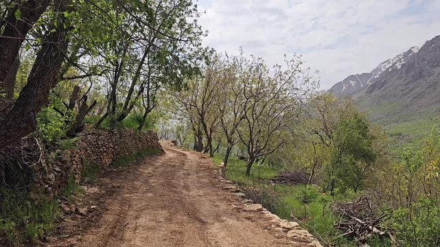 Shaded dirt path runs beside a dry stone wall and orchard trees, opening to a valley with snow-patched mountains under a cloudy sky.
📍 Hawraman Takht, Kurdistan, Iran 